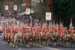 lb_mounted_police