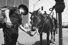 mounted_patrolman